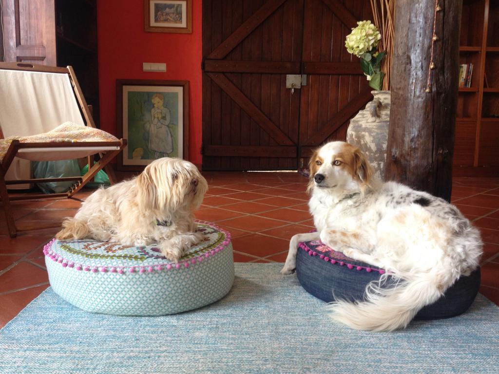 Bisbis House Guest House ปอร์โต โมนิซ ภายนอก รูปภาพ